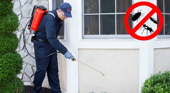 Kalkandere Böcek İlaçlama böcek ilaçlama ve haşere kontrolü — ilaclama-tr.com